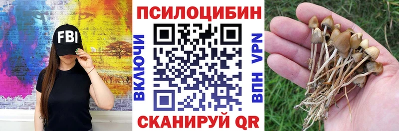 ОМГ ОМГ ССЫЛКА  Тверь  Псилоцибиновые грибы Psilocybine cubensis 